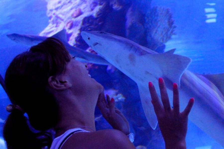 Antalya Aquarium Tour from Alanya
