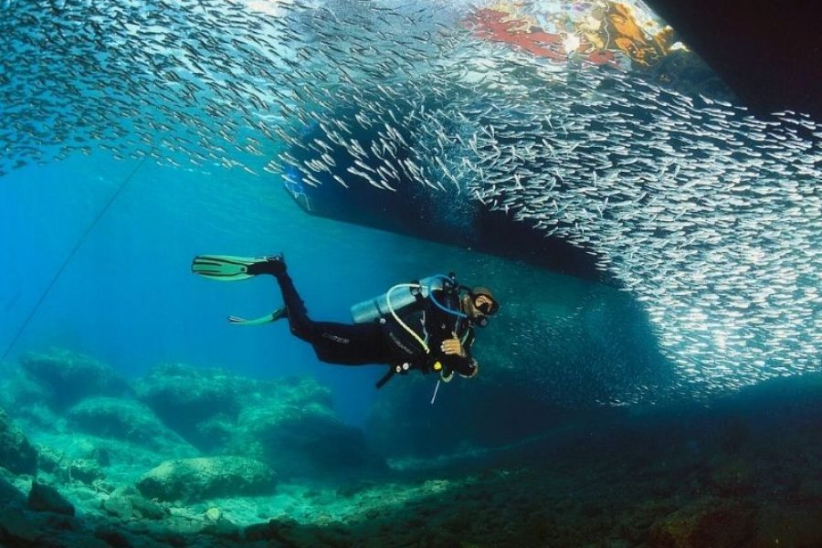 fethiyediving