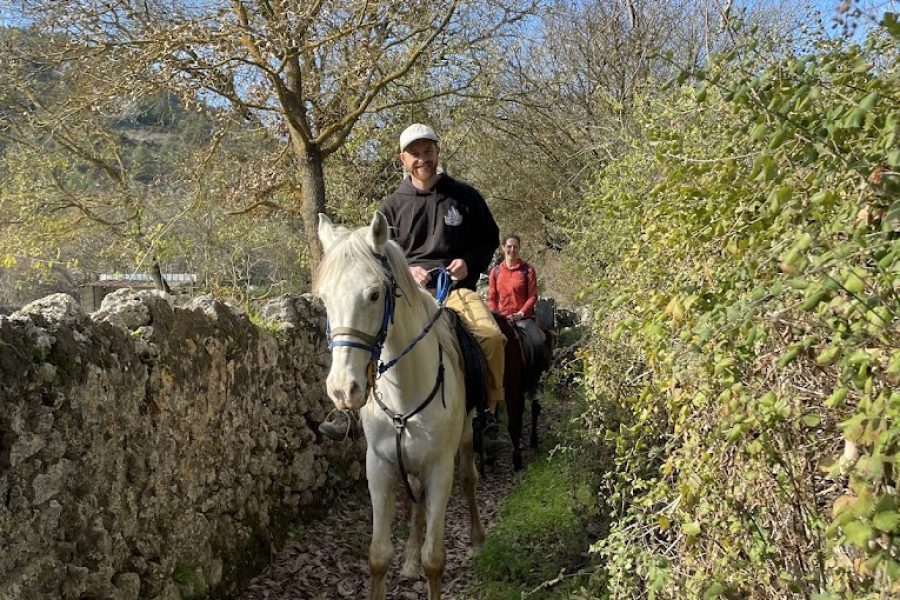 Fethiye Ölüdeniz Horse Riding Tour