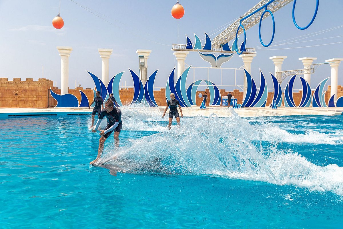 Alanya'da Gezilecek Yerler 36 Alanya Sealanya Dolphinpark